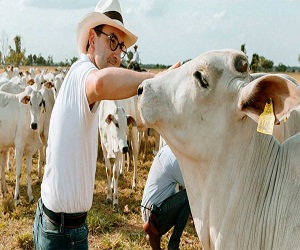 En el primer trimestre de 2019, Colombia exportó 4.384 toneladas de carne bovina a ocho países del mundo